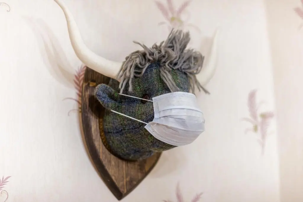 a wound up pair of shoes hanging on a wall at Aye Stay in Inverness