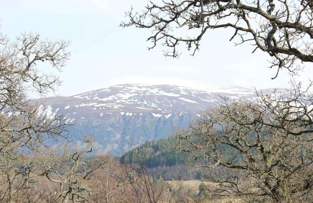 a snow covered mountain in the distance with trees at Skye Cottage, Meadowside House, near Kingussie in Kingussie