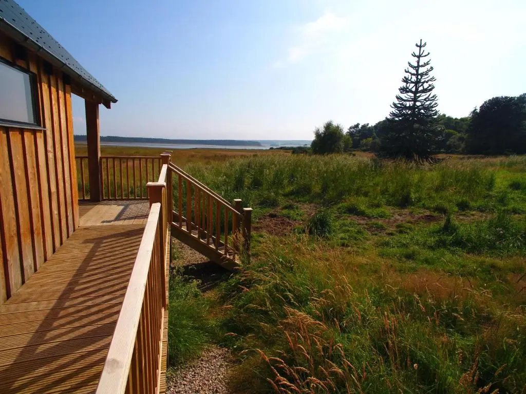 a wooden walkway next to a house with a tree at Birdwatcher's Cabin in Golspie