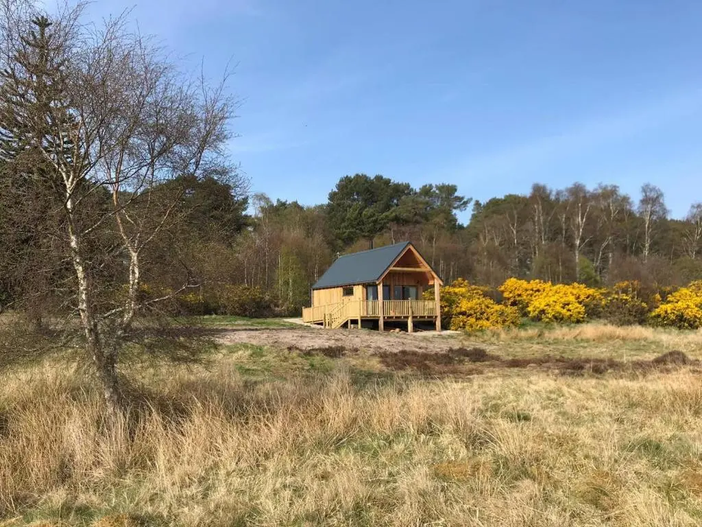 a small wooden cabin in a field of grass at Birdwatcher's Cabin in Golspie