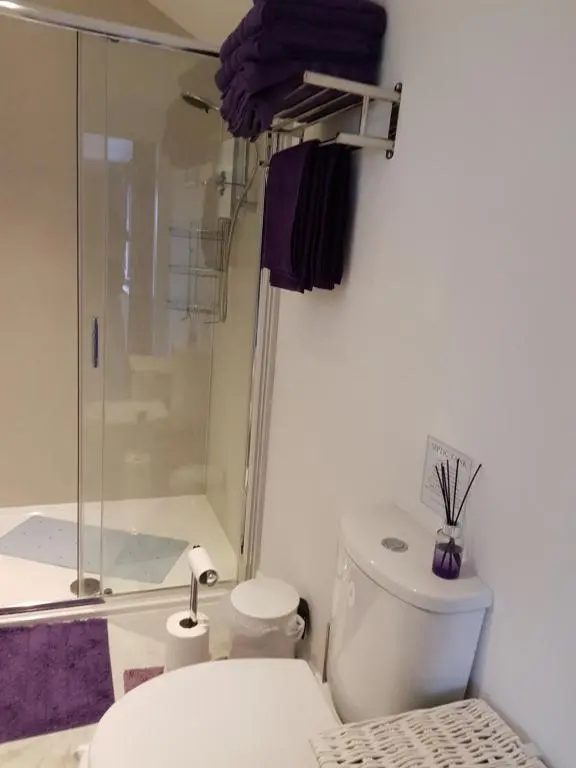 a white bathroom with a shower and a toilet at Delny Muir House in Invergordon