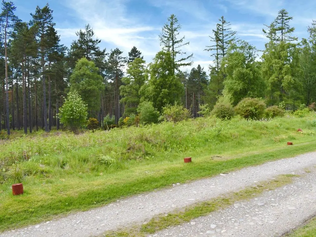 a dirt road next to a field with trees at Ben View in Orbliston