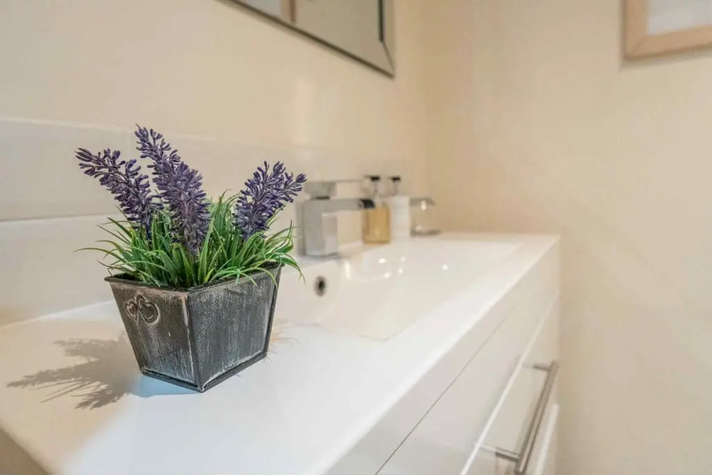 a vase with purple flowers sitting on a bathroom sink at Drumlochy B&B in Inverness