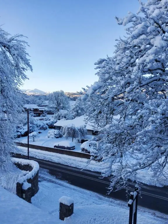 a snow covered yard with trees and a road at The Old Convent Holiday Apartments in Fort Augustus