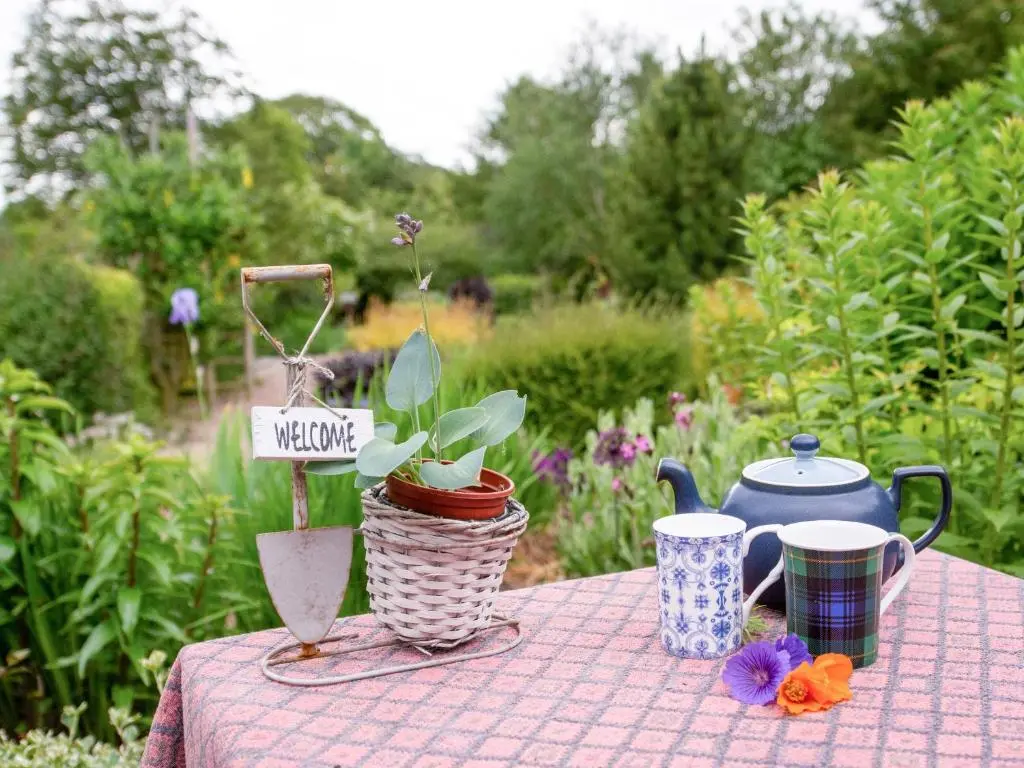 a table with a table cloth with a tea pot and plants at Middle Lodge in Mintlaw