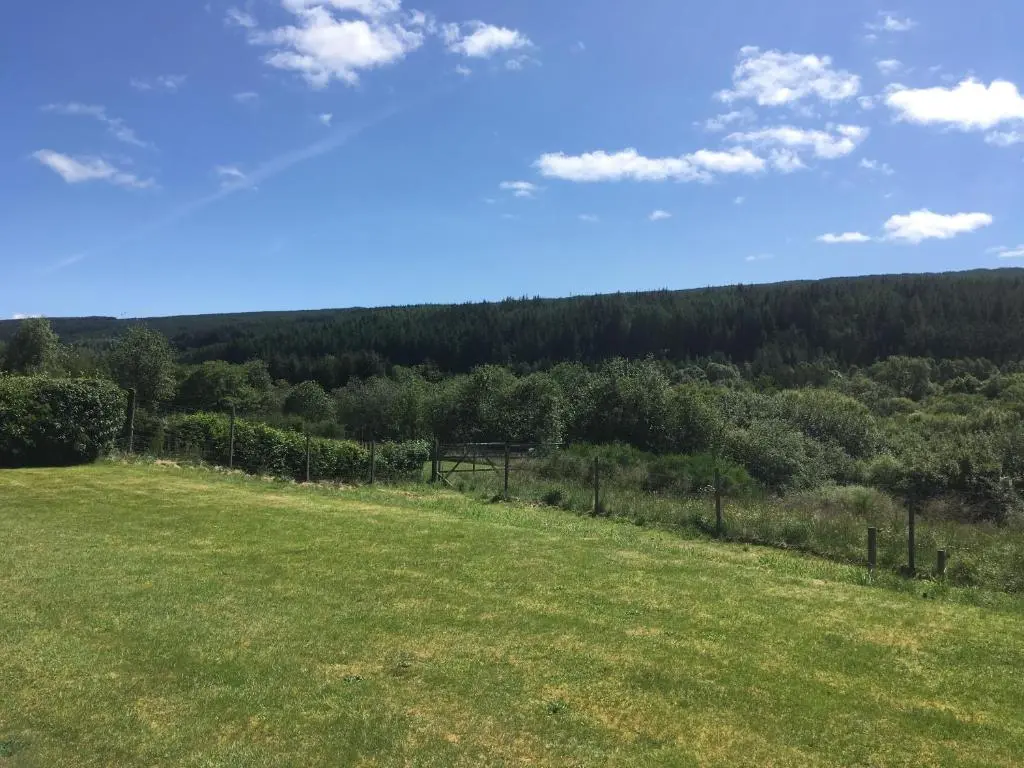 a field of grass with trees in the background at The Willows in Dalchreichart