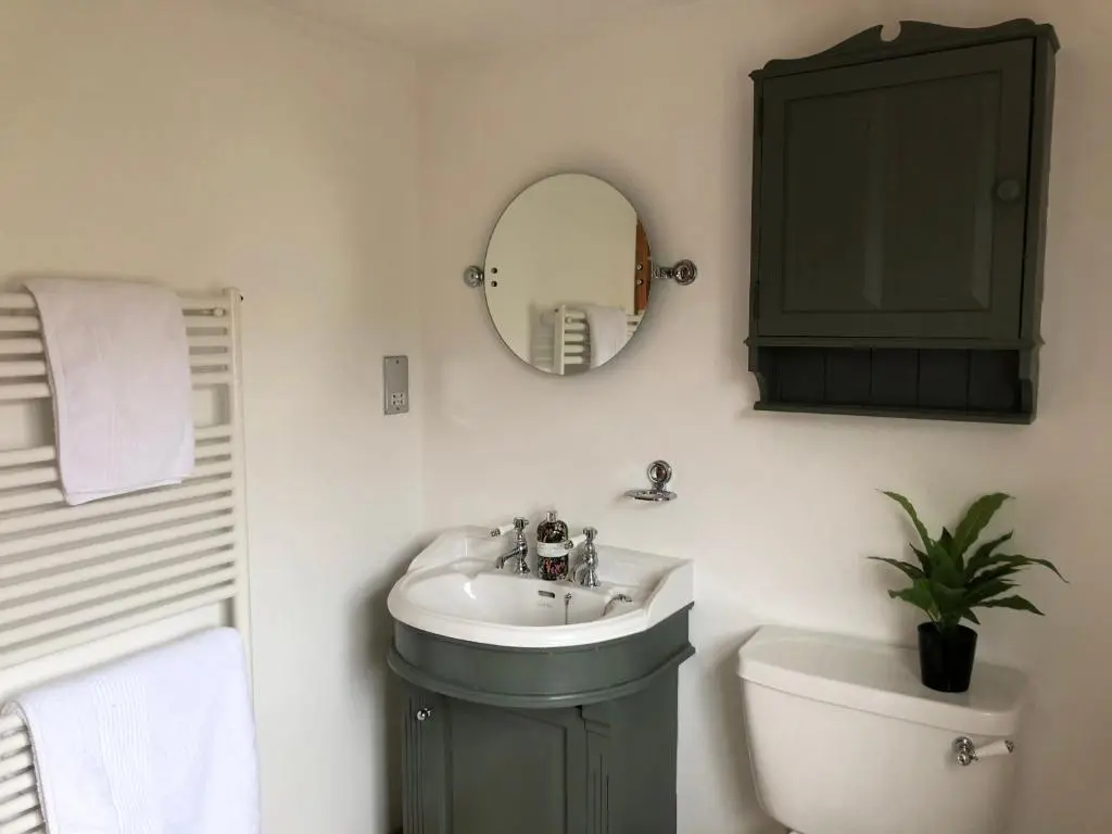 a bathroom with a sink and a toilet and a mirror at Glenmuir Cottage in Dornoch