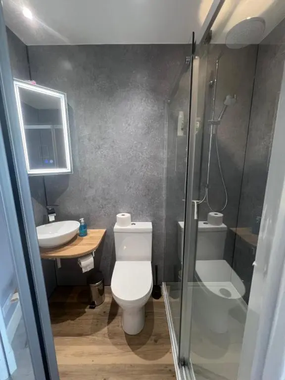 a bathroom with a toilet and a sink and a shower at Black Isle View in Dingwall