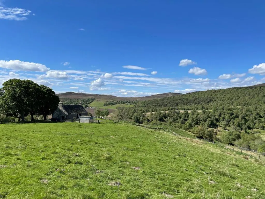 a grassy hill with a house in the distance at West Gorton in Grantown on Spey