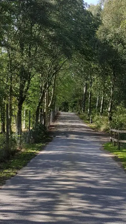 an empty road with trees on either side at Inchmarlo Golf Resort, Banchory Villa 26 AS 00266F in Banchory