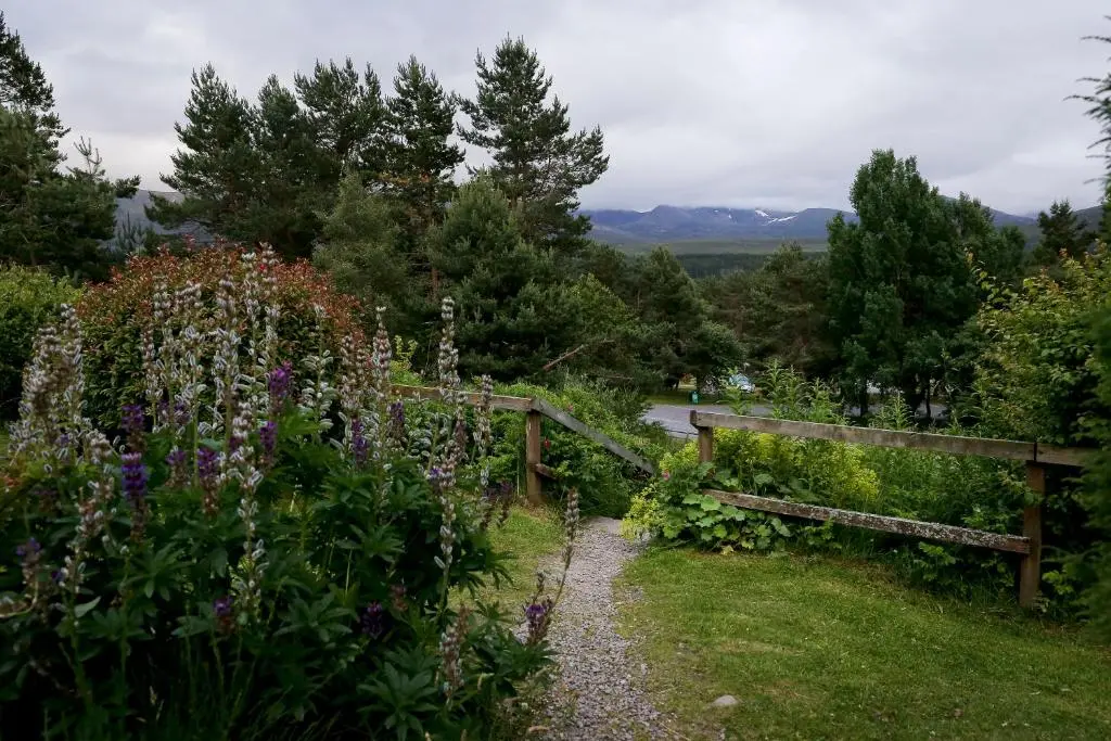 a garden with flowers and a wooden fence at Cairngorm Lodge Youth Hostel in Loch Morlich