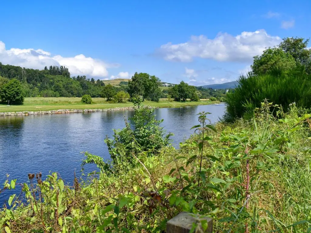 a view of a river with trees in the background at Spey Cottage in Aberlour