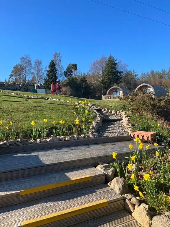 a garden with yellow flowers and wooden steps at Daviot Luxury Pods in Inverness
