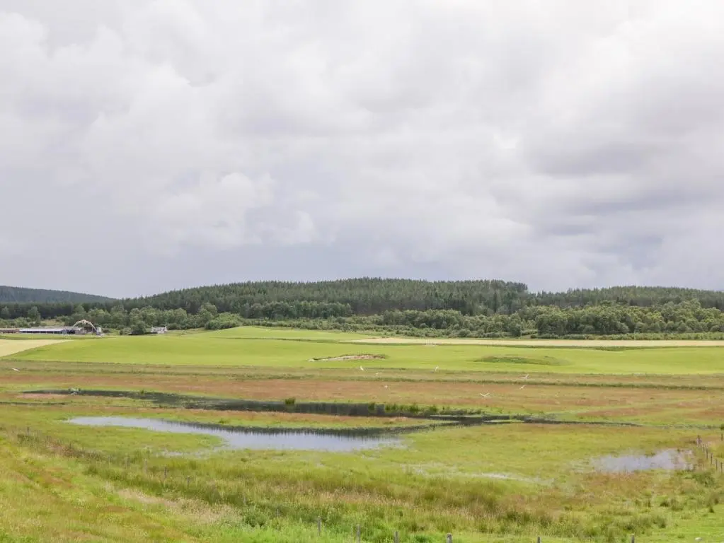 a large open field with a pond in the middle at Ptarmigan in Carrbridge