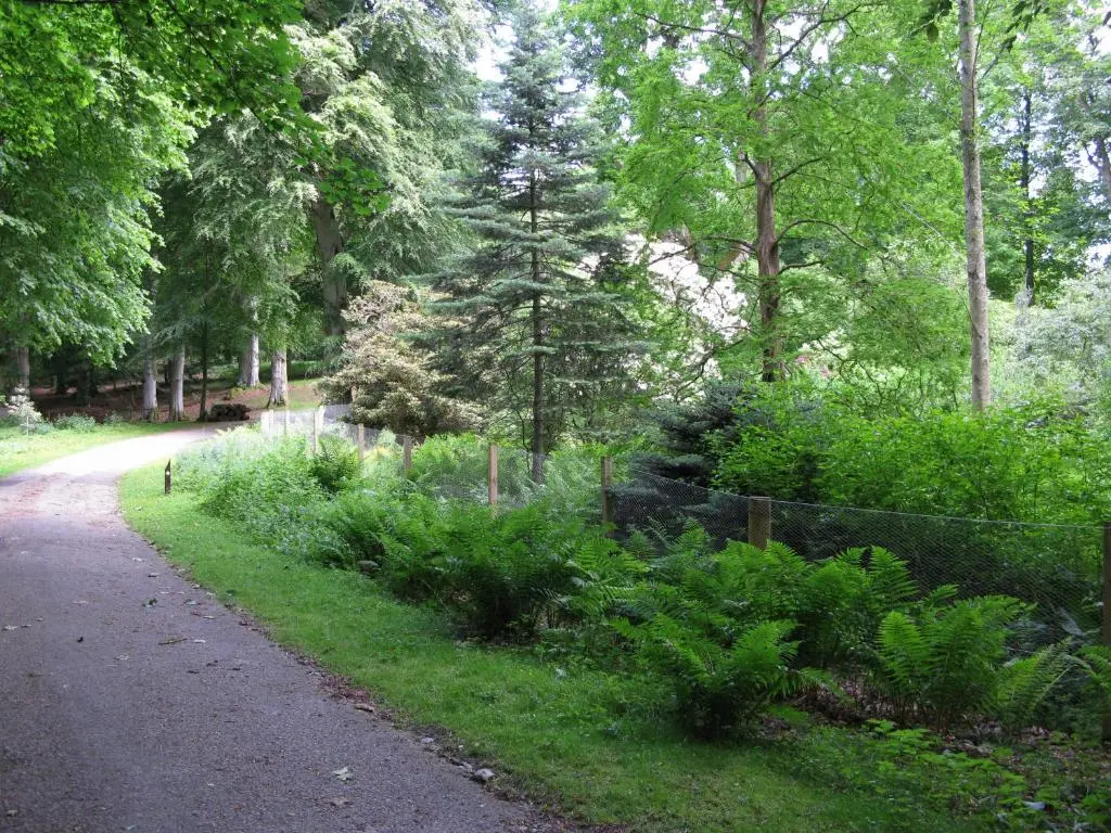 a path in a park with trees and plants at Apartment 20 Inchmarlo in Banchory