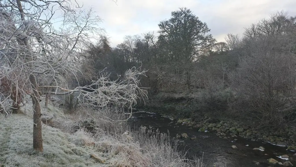 a river with snow on the branches of trees at Loch Ness Balcony Apartment in Drumnadrochit