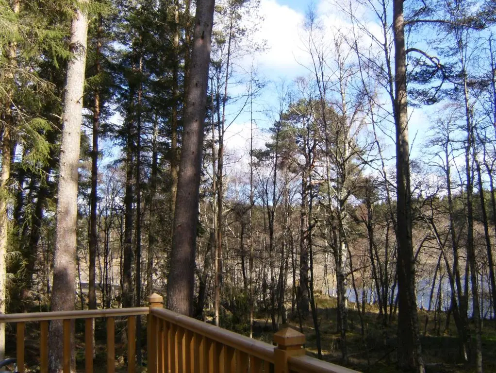 a view of the woods from a wooden deck at Cairngorm Lodges in Aboyne