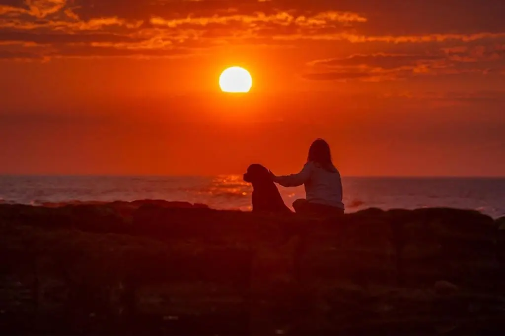 a woman sitting on the beach watching the sunset at Covesea Lighthouse Cottages in Lossiemouth
