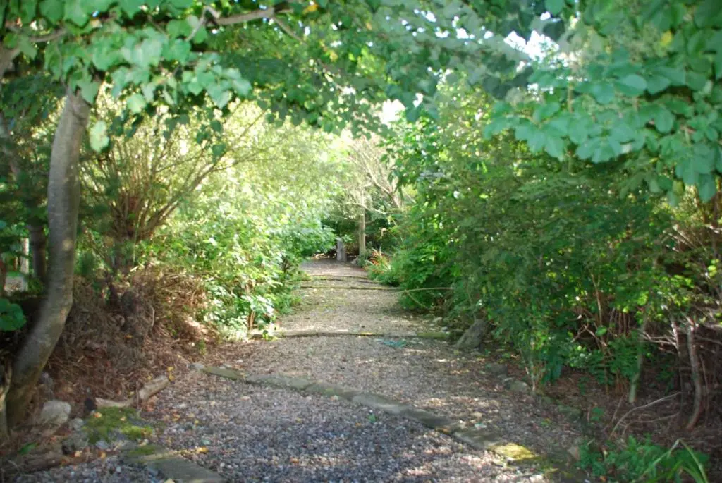 a path in the middle of a forest with trees at Unique Garden Centre Country Cottage in Fraserburgh