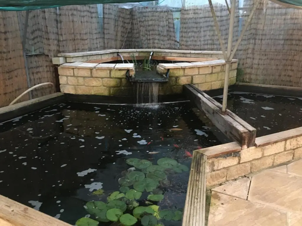 a koi pond with a water fall at Unique Garden Centre Country Cottage in Fraserburgh