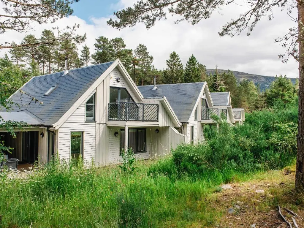 a house in the woods with trees at Otter Lodge in Kingussie