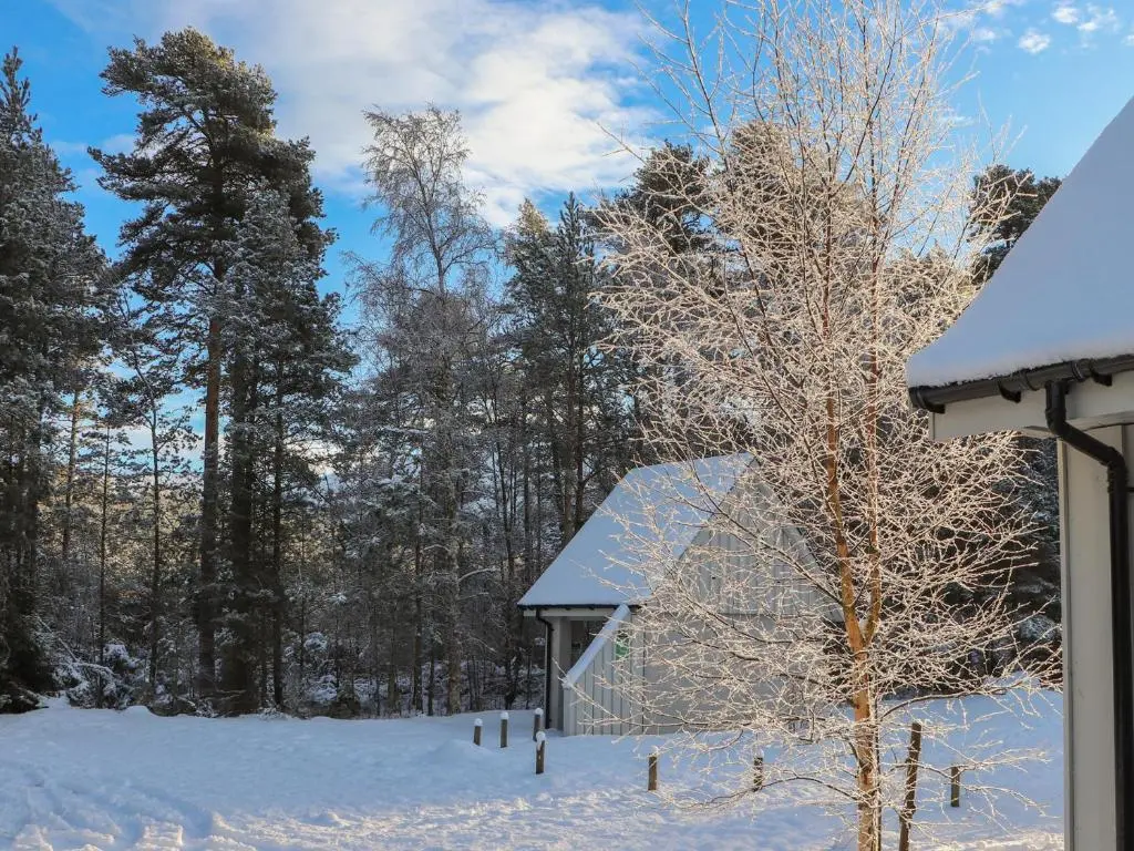 a house covered in snow next to a tree at Red Deer Lodge in Kingussie