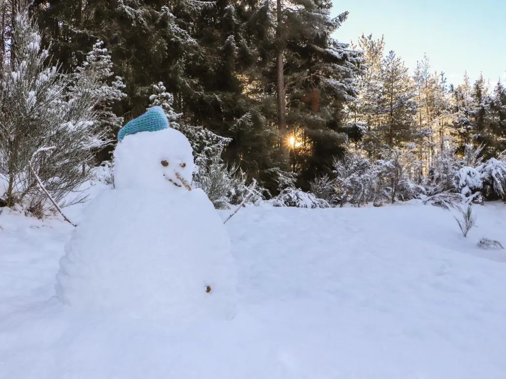 a snowman wearing a blue hat in the snow at Red Deer Lodge in Kingussie