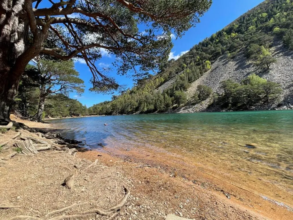 a view of a river from the shore of a beach at Wildcat Lodge in Kingussie