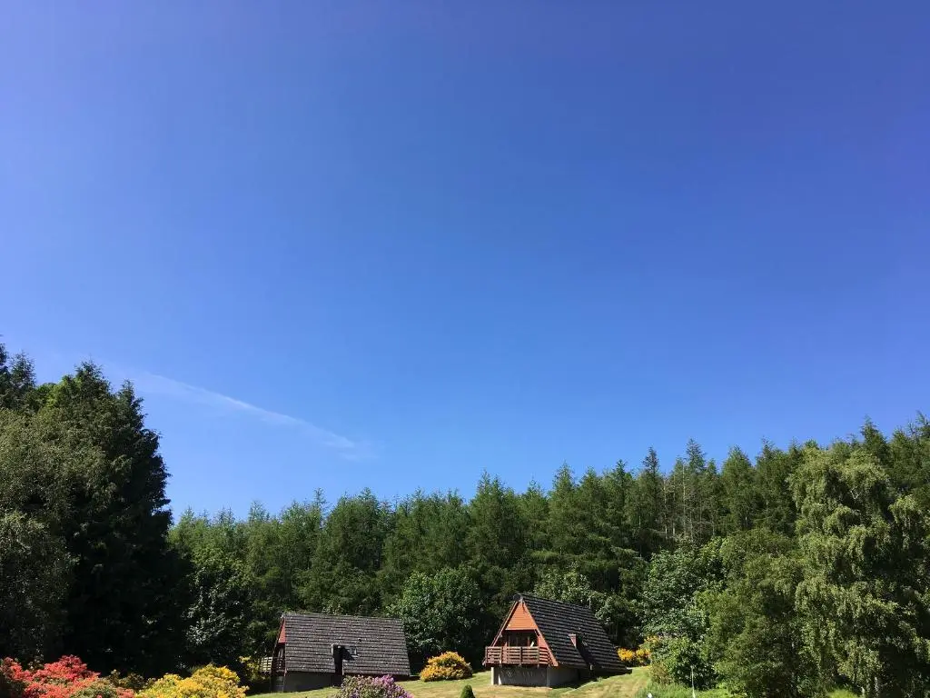 a group of houses in the middle of a forest at Heather Lodge in Glenurguhart