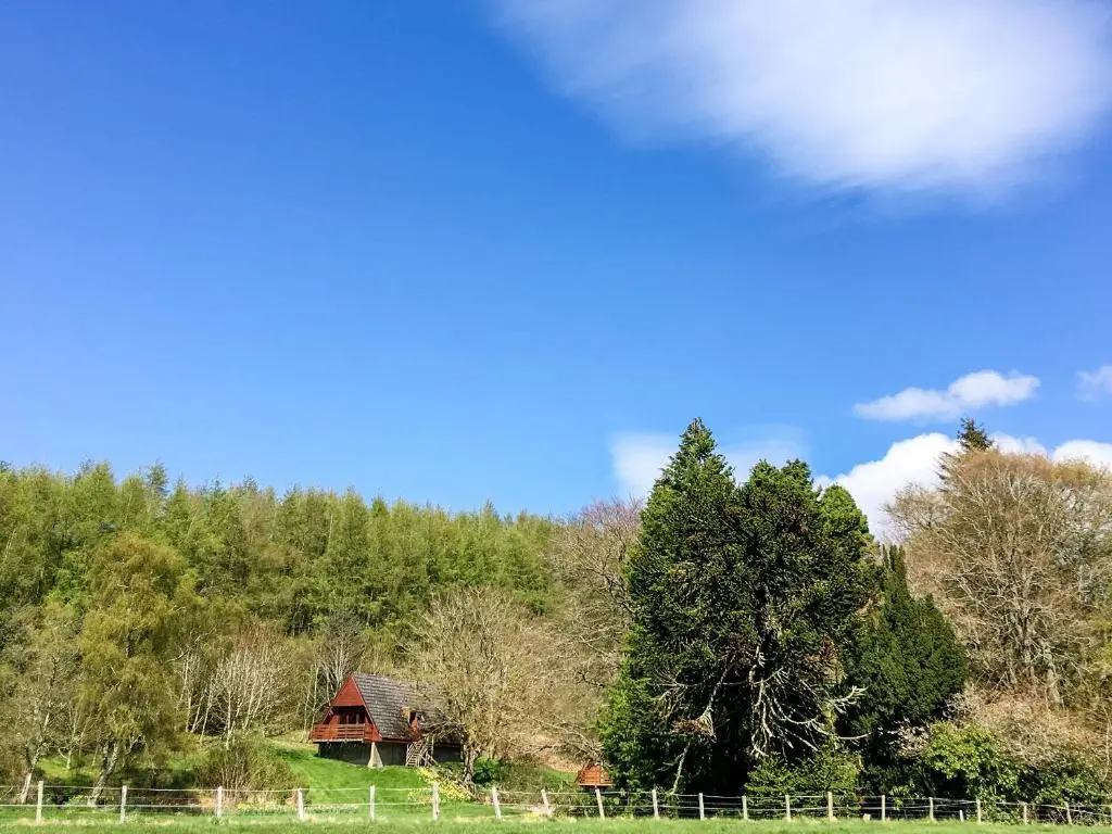 a barn in the middle of a field with trees at Pine Lodge - Uk7049 in Glenurguhart