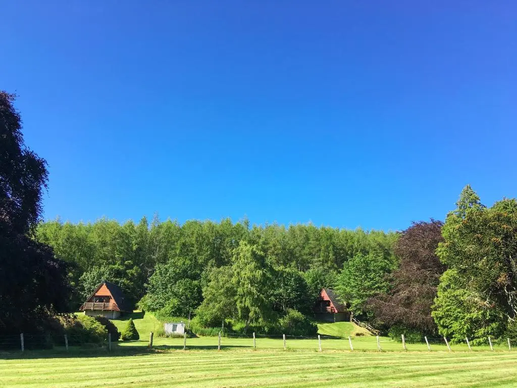 a grassy field with trees and cottages in the background at Pine Lodge - Uk7049 in Glenurguhart