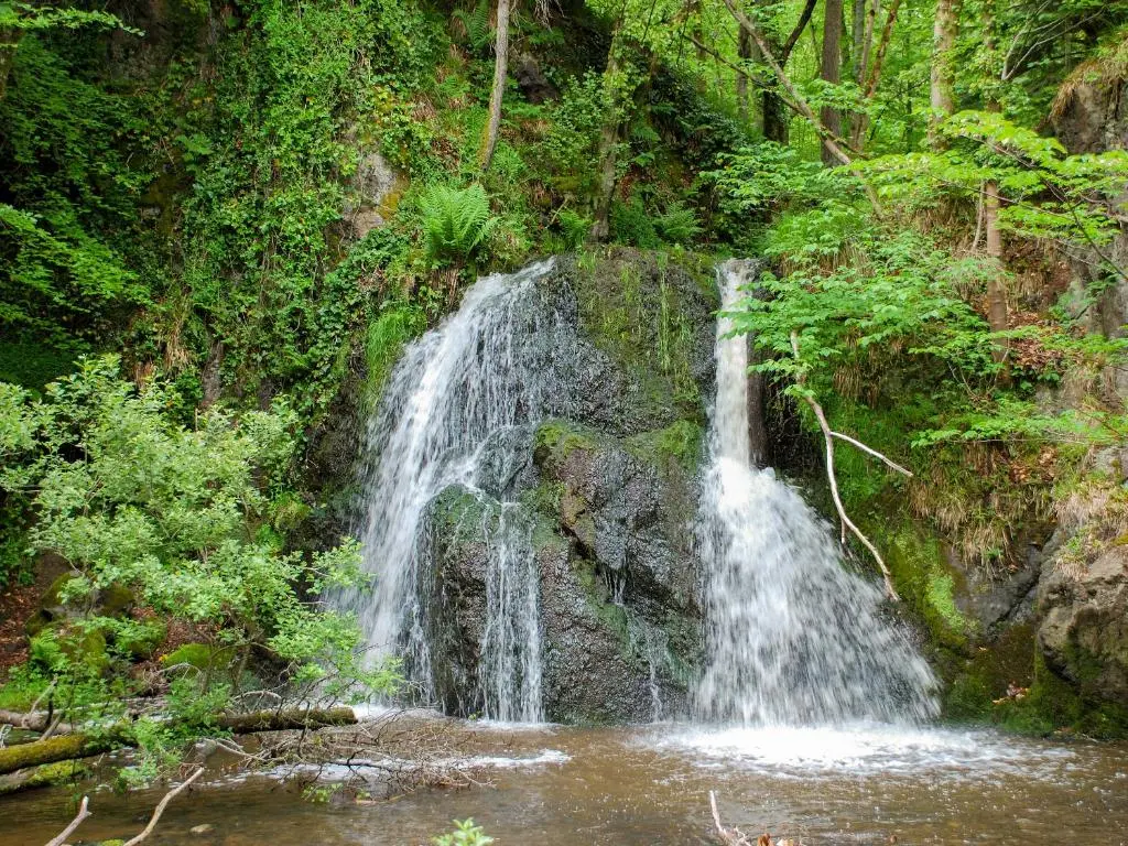 a waterfall in the middle of a forest at Pine Lodge - Uk7049 in Glenurguhart