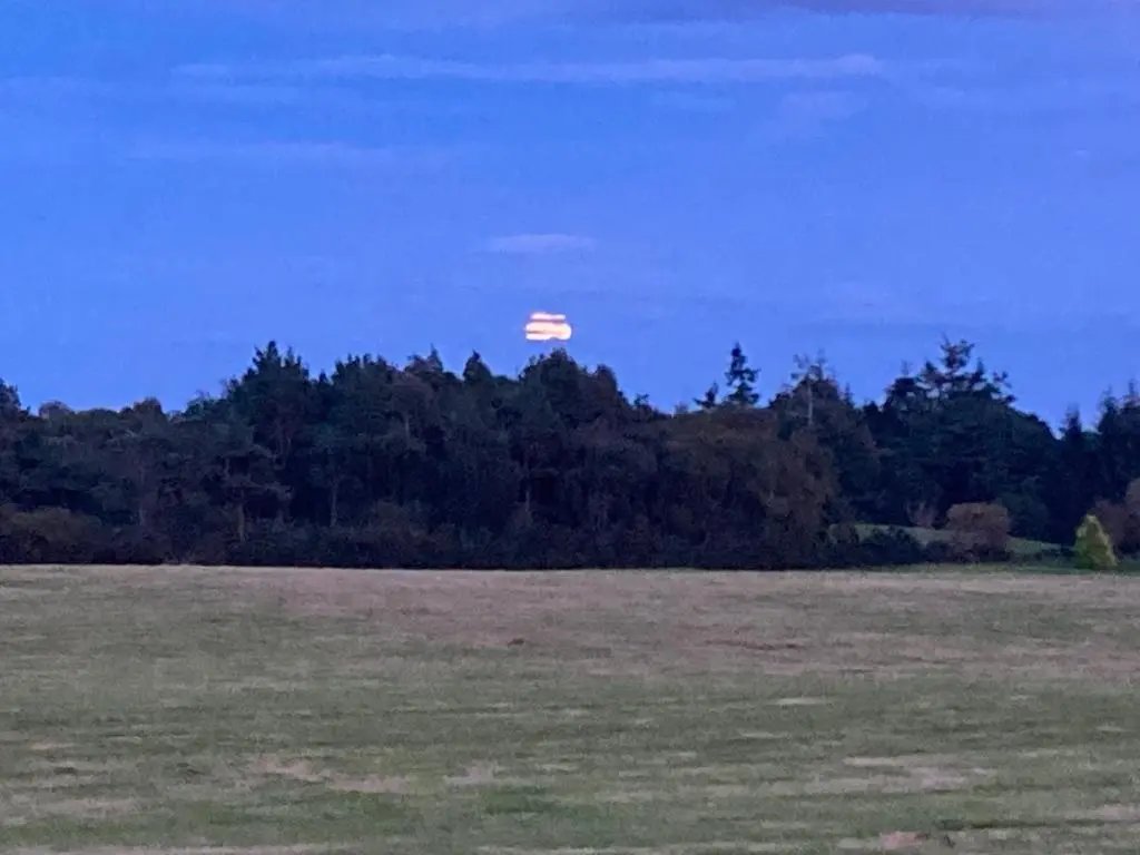 a large field with the moon in the sky at Clashmore Wood in Dornoch