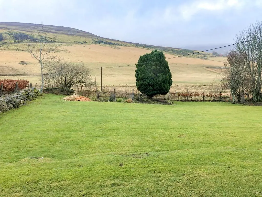 a large green field with a tree in the distance at Crofts in Badenyon