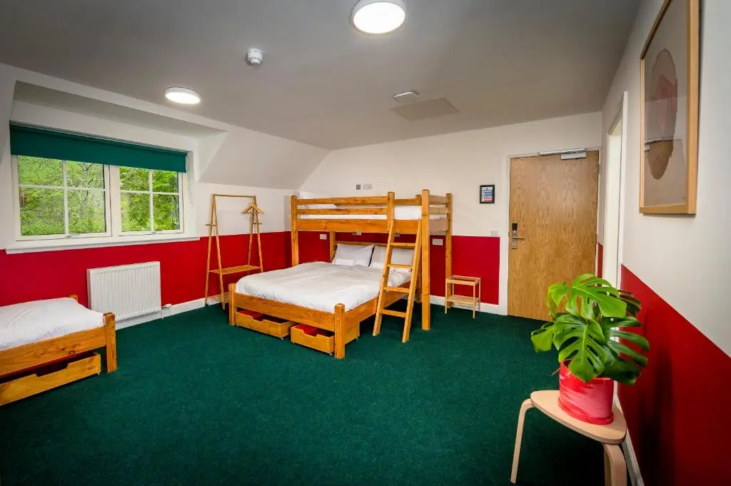 a bedroom with two bunk beds and a potted plant at Loch Ness Bunk Inn in Drumnadrochit