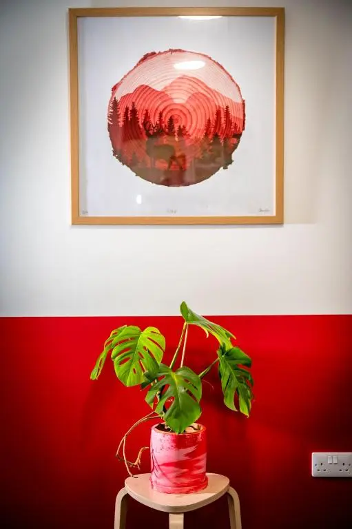 a plant sitting on a table under a picture at Loch Ness Bunk Inn in Drumnadrochit