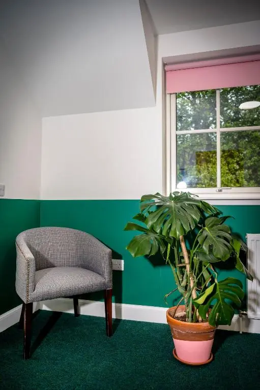 a green room with a chair and a plant at Loch Ness Bunk Inn in Drumnadrochit