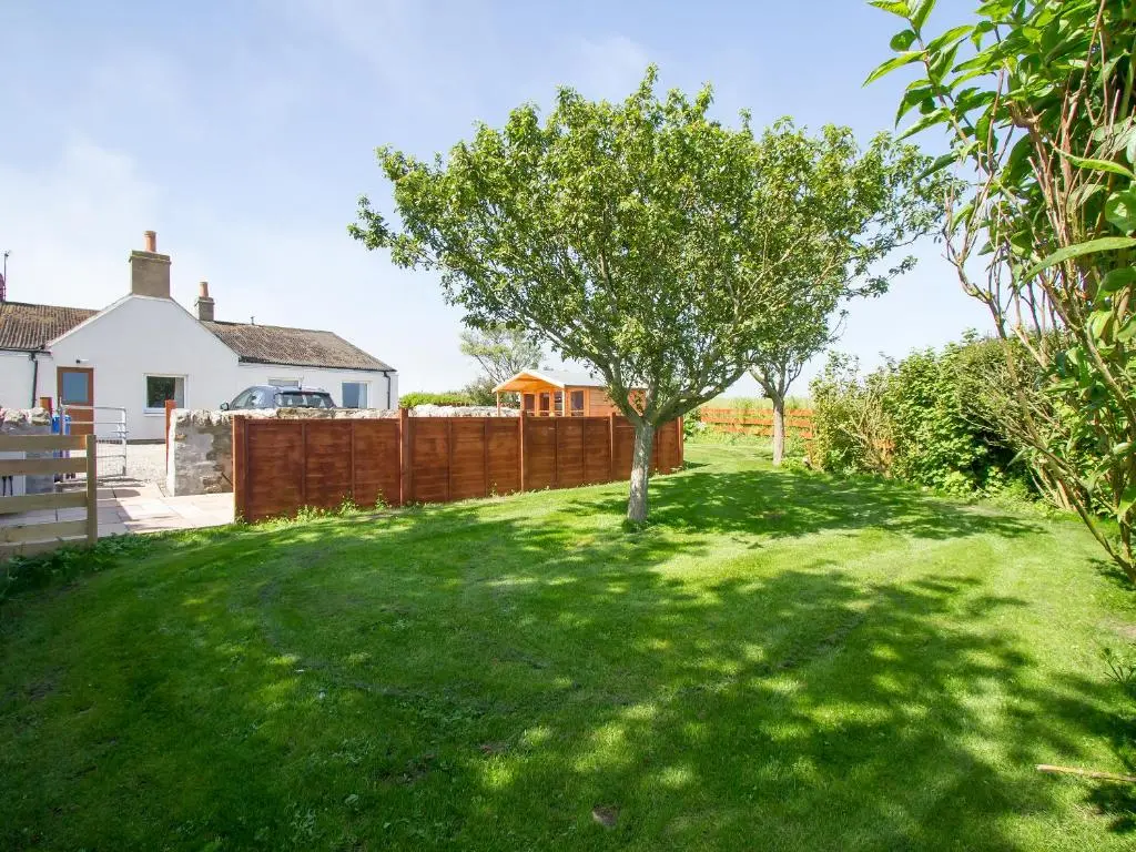 a tree in a yard with a fence at Grieve's Cottage in Portmahomack
