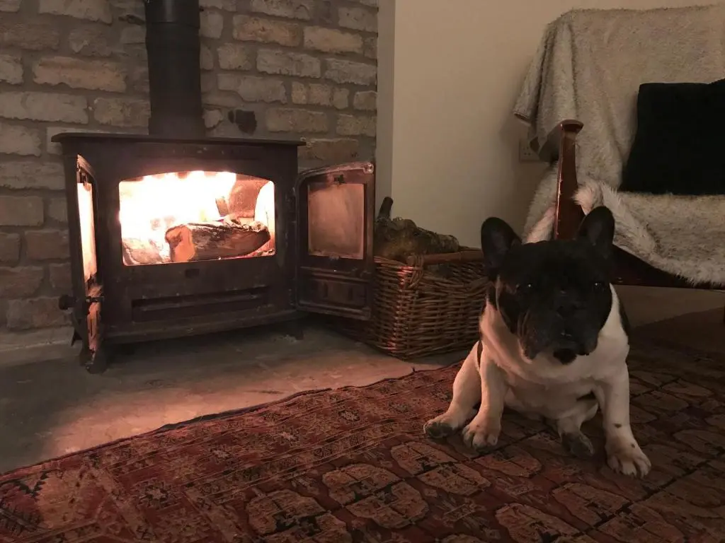 a black and white dog sitting in front of a fireplace at Thistle Cottage, CrannachCottages in Garve