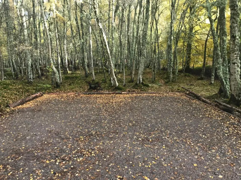 a dirt road in the middle of a forest at Thistle Cottage, CrannachCottages in Garve