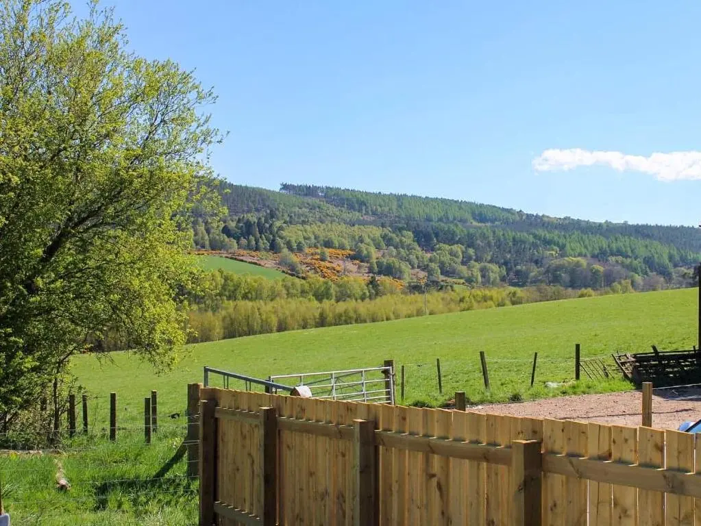 a horse in a field behind a wooden fence at Balmore Farmhouse in Lochend