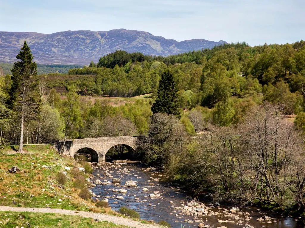 a bridge over a river with a mountain in the background at Wee Wilds in Newtonmore