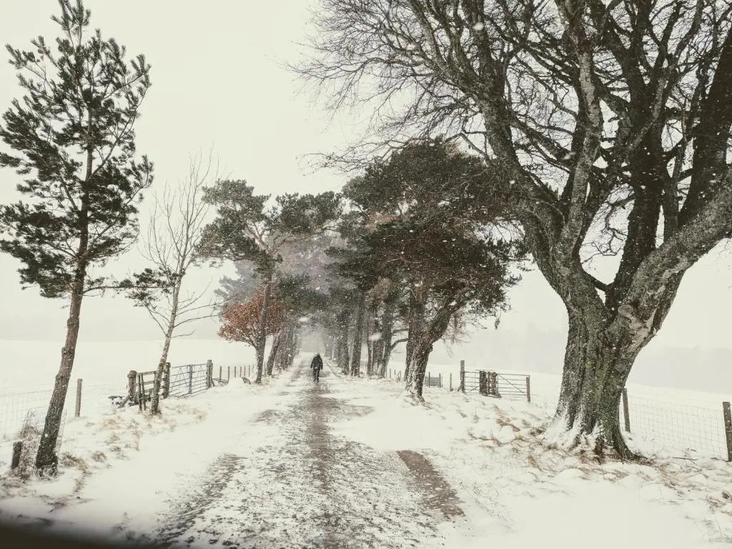 a person walking down a snow covered road at Wee Wilds in Newtonmore