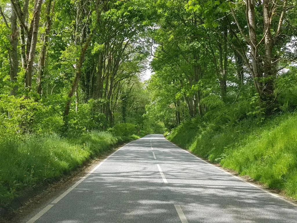 an empty road in the middle of a forest at Pleasant Point Holiday Cottages in Rosemarkie