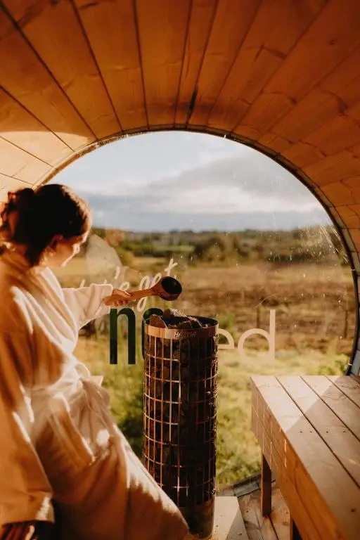 a woman looking out a window at a giraffe at North Coast 500 Pods - Brora in Brora