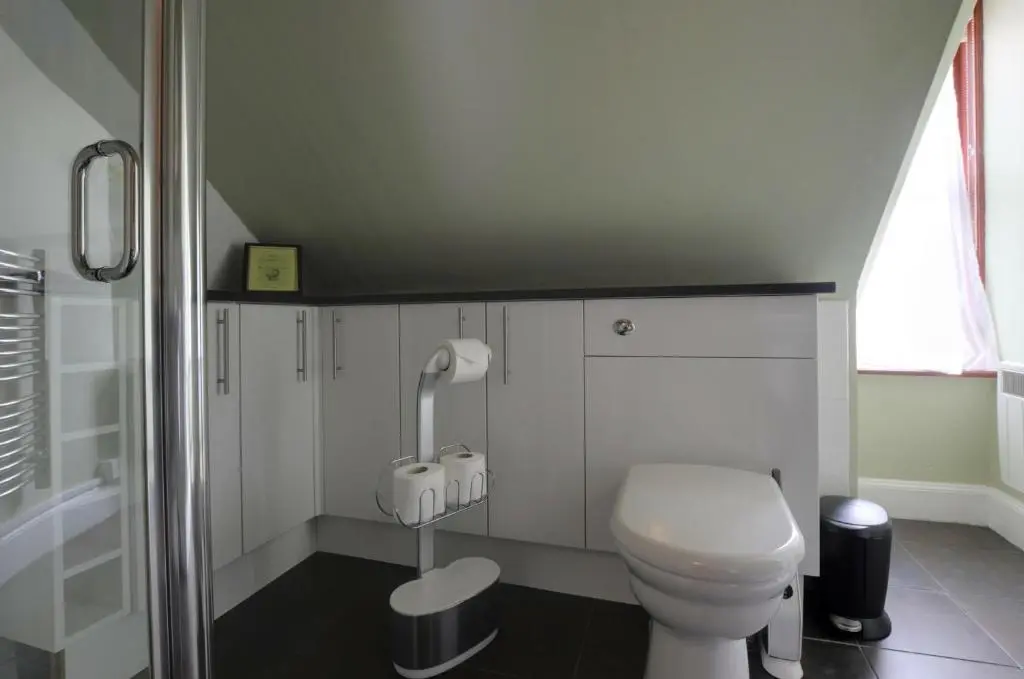 a white bathroom with a toilet and a shower at King Street Apartment in Inverness