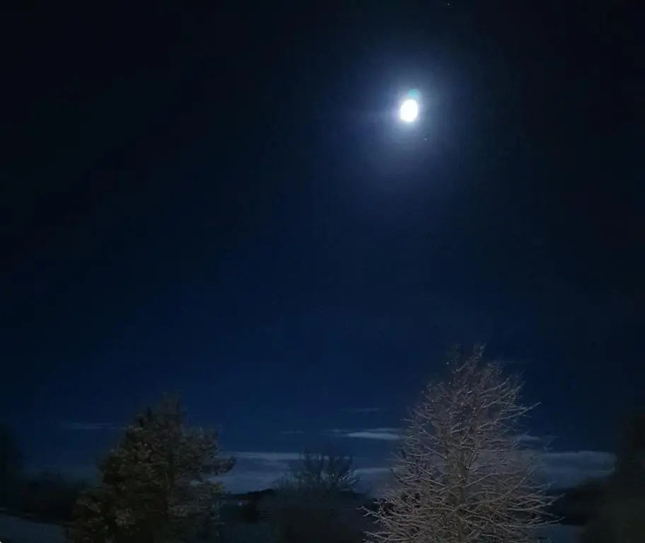 a full moon in the sky over a tree at Jakels Rest in Lairg