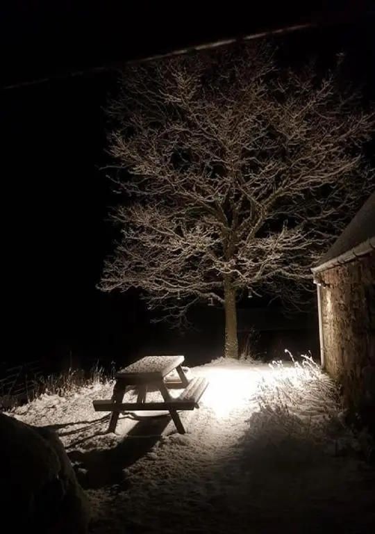 a picnic table in front of a tree at night at Jakels Rest in Lairg