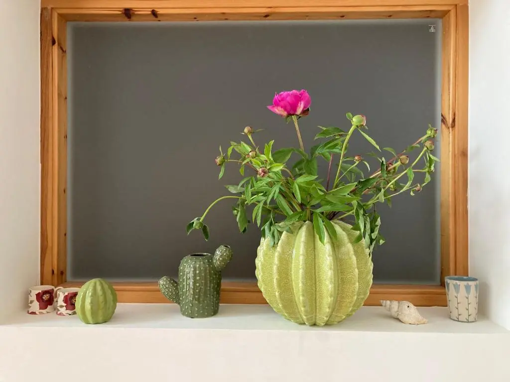 a pink flower in a vase on a shelf at Shamerbrea The Foodie B&B in Inverness