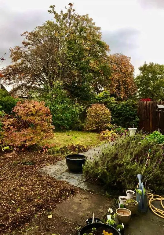 a garden with a bunch of plants in a yard at Shamerbrea The Foodie B&B in Inverness